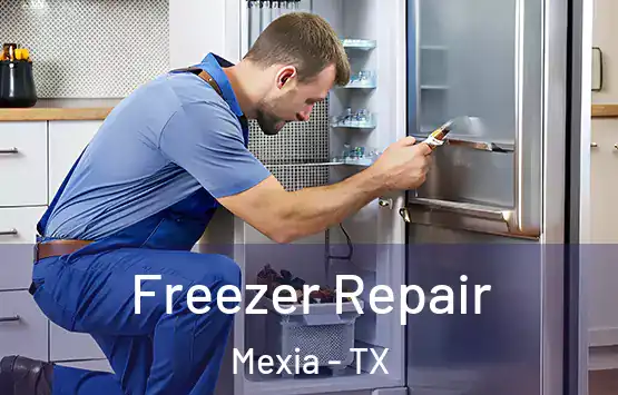  Freezer Repair Mexia - TX