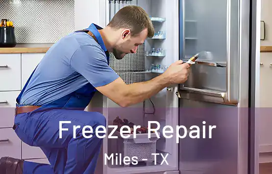  Freezer Repair Miles - TX