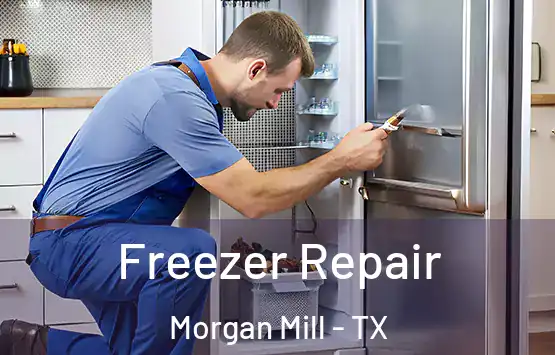  Freezer Repair Morgan Mill - TX