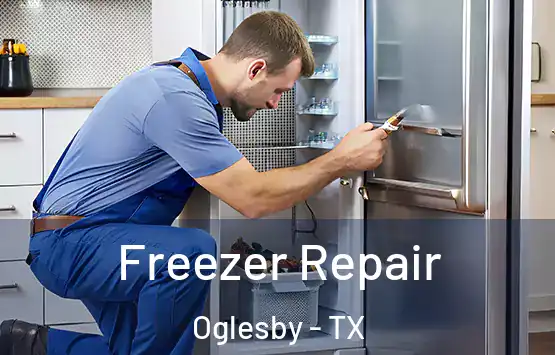 Freezer Repair Oglesby - TX