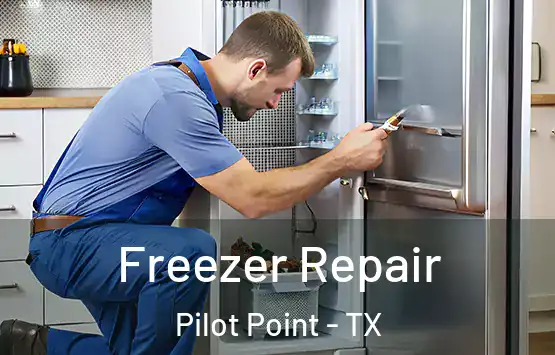  Freezer Repair Pilot Point - TX