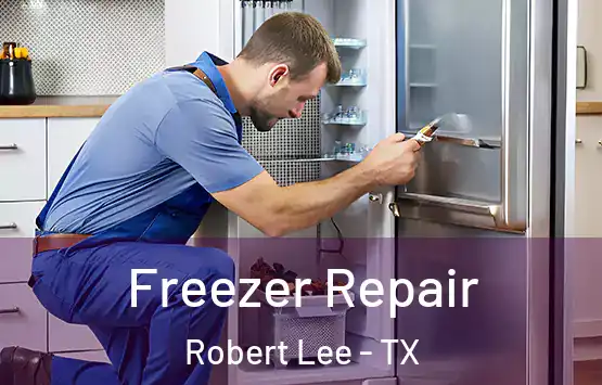  Freezer Repair Robert Lee - TX