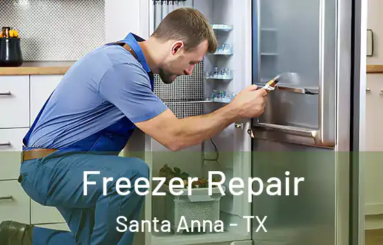  Freezer Repair Santa Anna - TX