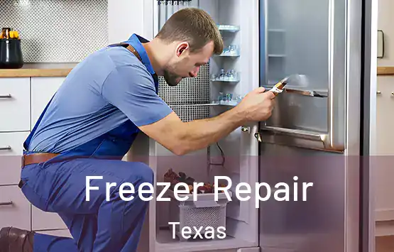  Freezer Repair Texas