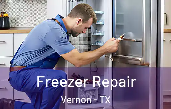  Freezer Repair Vernon - TX