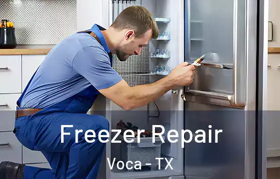  Freezer Repair Voca - TX
