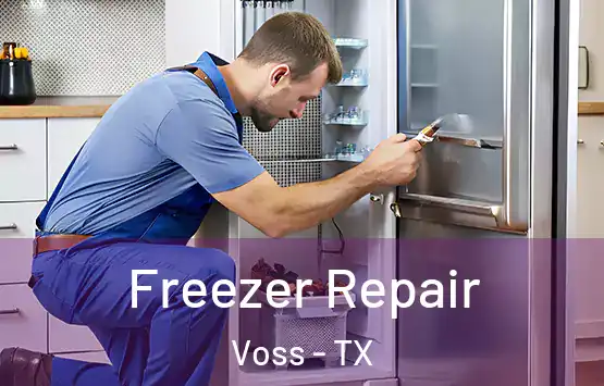  Freezer Repair Voss - TX