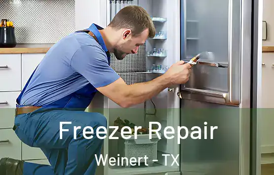  Freezer Repair Weinert - TX