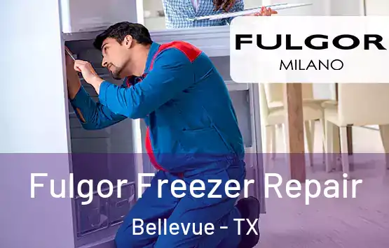  Fulgor Freezer Repair Bellevue - TX