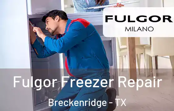  Fulgor Freezer Repair Breckenridge - TX
