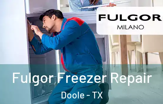  Fulgor Freezer Repair Doole - TX