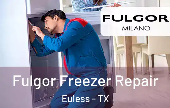  Fulgor Freezer Repair Euless - TX