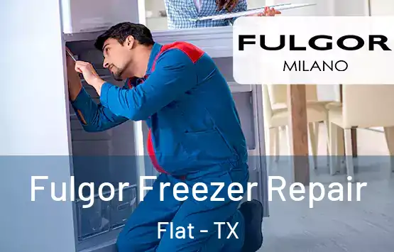  Fulgor Freezer Repair Flat - TX
