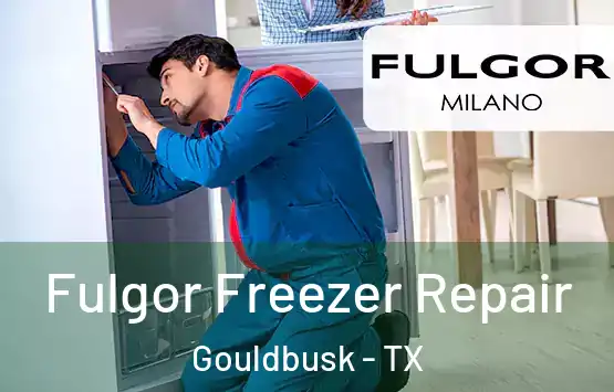  Fulgor Freezer Repair Gouldbusk - TX