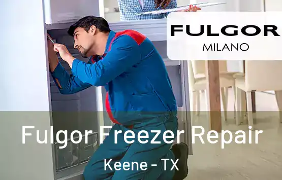  Fulgor Freezer Repair Keene - TX