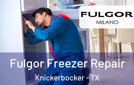  Fulgor Freezer Repair Knickerbocker - TX