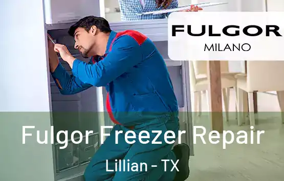  Fulgor Freezer Repair Lillian - TX