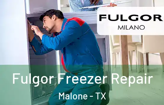  Fulgor Freezer Repair Malone - TX