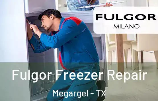  Fulgor Freezer Repair Megargel - TX