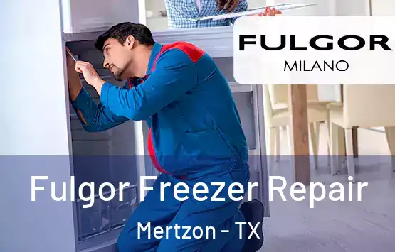  Fulgor Freezer Repair Mertzon - TX