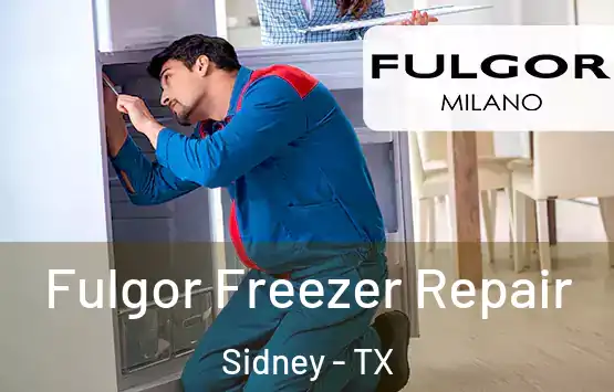 Fulgor Freezer Repair Sidney - TX