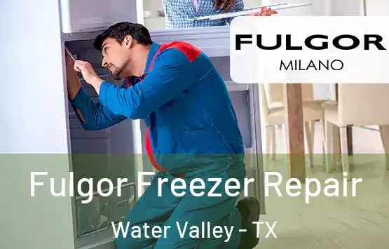 Fulgor Freezer Repair Water Valley - TX