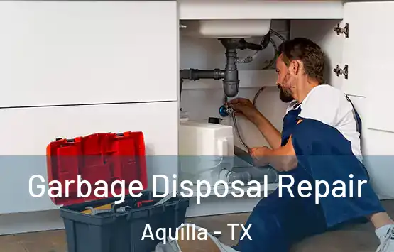  Garbage Disposal Repair Aquilla - TX
