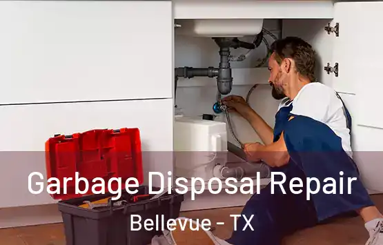  Garbage Disposal Repair Bellevue - TX