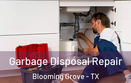  Garbage Disposal Repair Blooming Grove - TX