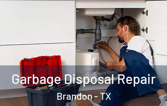  Garbage Disposal Repair Brandon - TX