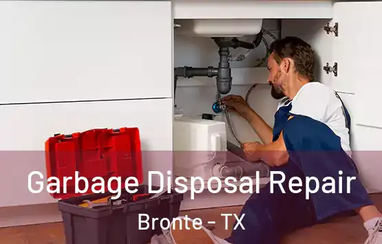 Garbage Disposal Repair Bronte - TX