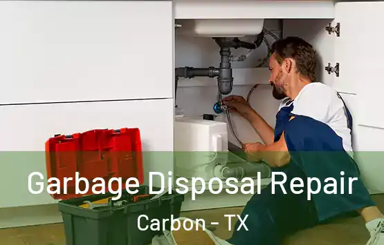  Garbage Disposal Repair Carbon - TX