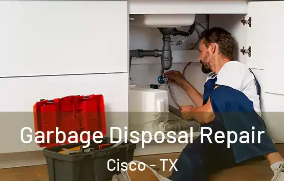  Garbage Disposal Repair Cisco - TX