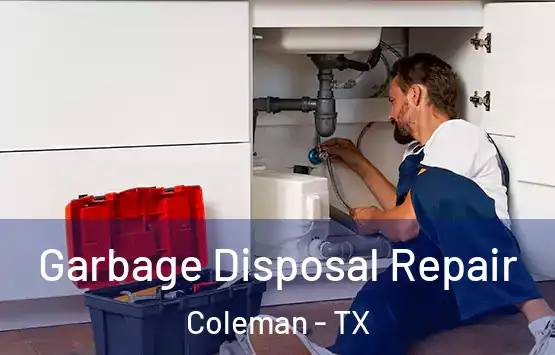  Garbage Disposal Repair Coleman - TX