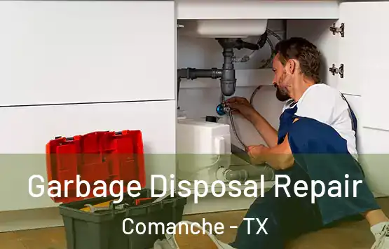  Garbage Disposal Repair Comanche - TX