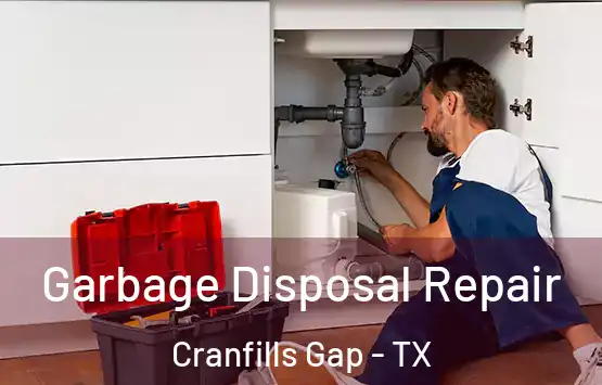  Garbage Disposal Repair Cranfills Gap - TX