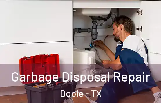  Garbage Disposal Repair Doole - TX