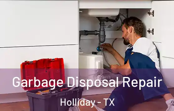  Garbage Disposal Repair Holliday - TX