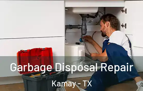 Garbage Disposal Repair Kamay - TX