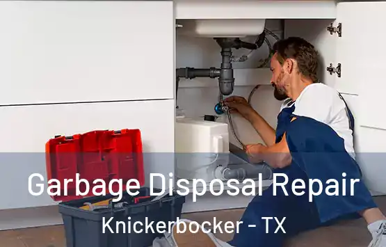  Garbage Disposal Repair Knickerbocker - TX