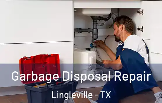  Garbage Disposal Repair Lingleville - TX