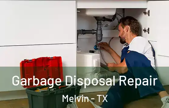  Garbage Disposal Repair Melvin - TX