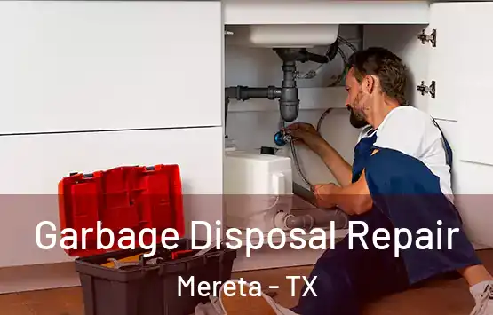  Garbage Disposal Repair Mereta - TX