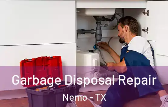  Garbage Disposal Repair Nemo - TX