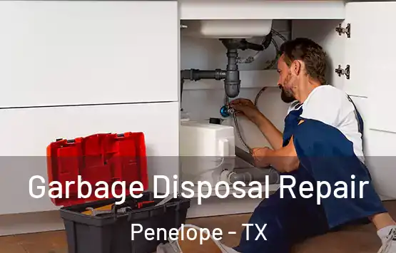  Garbage Disposal Repair Penelope - TX
