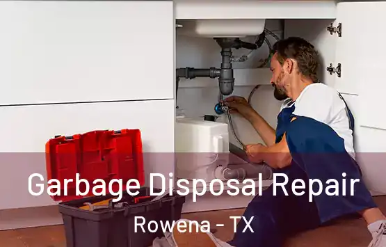  Garbage Disposal Repair Rowena - TX