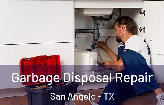  Garbage Disposal Repair San Angelo - TX