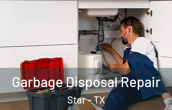  Garbage Disposal Repair Star - TX