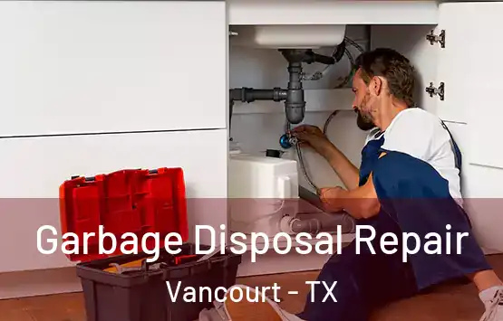  Garbage Disposal Repair Vancourt - TX