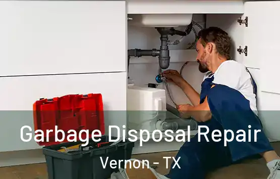  Garbage Disposal Repair Vernon - TX